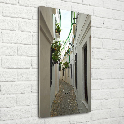 Impresión en metacrilato de alta calidad vertical Las calles de Andalucía