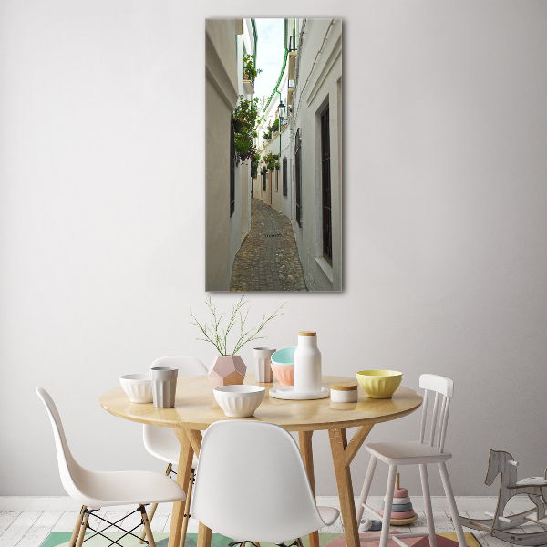 Impresión en metacrilato de alta calidad vertical Las calles de Andalucía
