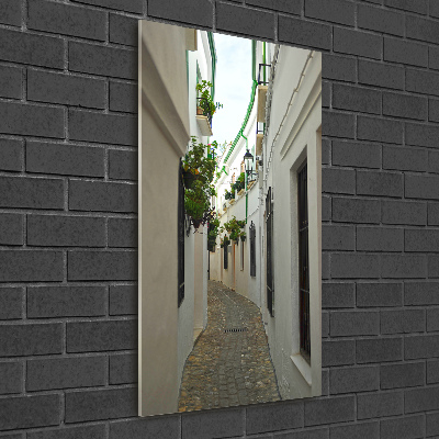 Impresión en metacrilato de alta calidad vertical Las calles de Andalucía