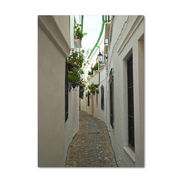 Impresión en metacrilato de alta calidad vertical Las calles de Andalucía