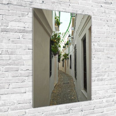 Impresión en metacrilato de alta calidad vertical Las calles de Andalucía