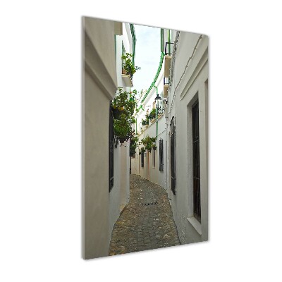 Impresión en metacrilato de alta calidad vertical Las calles de Andalucía