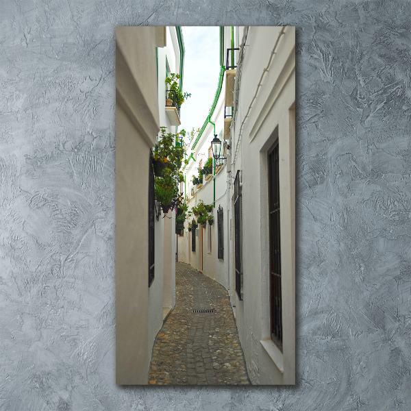 Impresión en metacrilato de alta calidad vertical Las calles de Andalucía