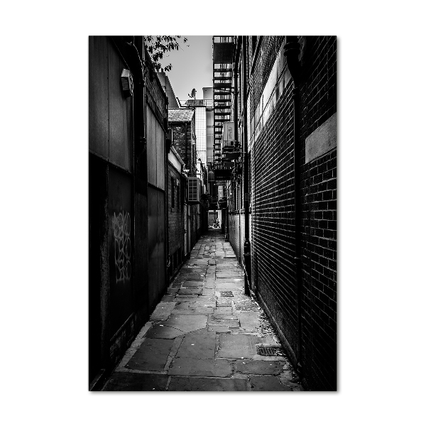 Cuadro decorativo en acrílico brillante vertical calles de la ciudad