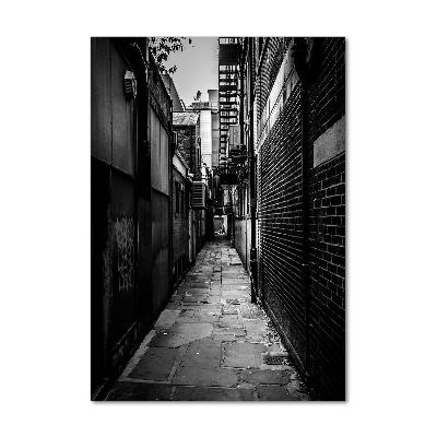 Cuadro decorativo en acrílico brillante vertical calles de la ciudad