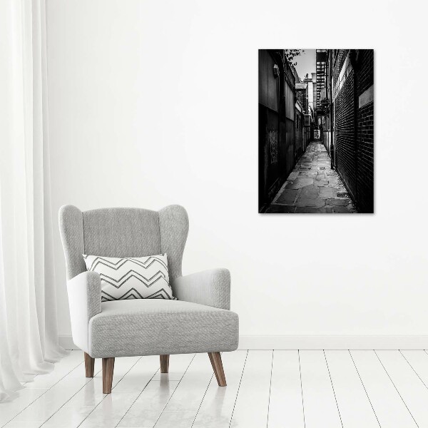 Cuadro decorativo en acrílico brillante vertical calles de la ciudad