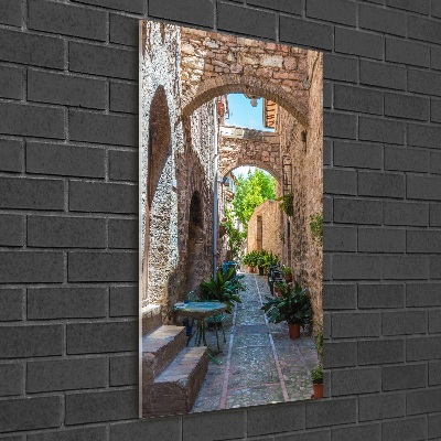 Cuadro de metacrilato moderno efecto cristal vertical calles italianas