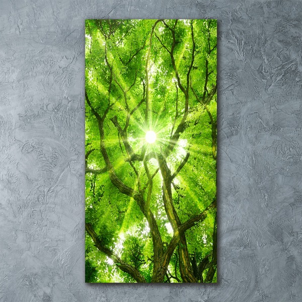 Obraz zdjęcie na ścianę akryl pionowy Korona drzew