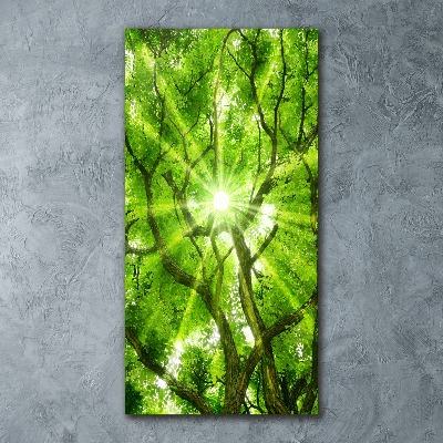 Cuadro de metacrilato vertical Corona del árbol