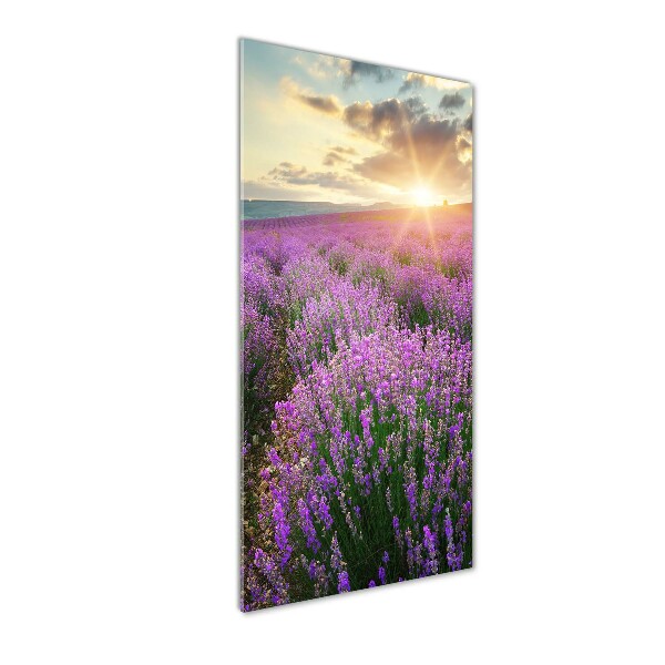 Cuadro de metacrilato moderno efecto cristal vertical campo de lavanda