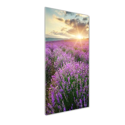 Cuadro de metacrilato moderno efecto cristal vertical campo de lavanda