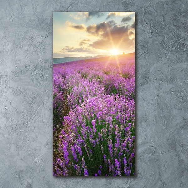 Cuadro de metacrilato moderno efecto cristal vertical campo de lavanda