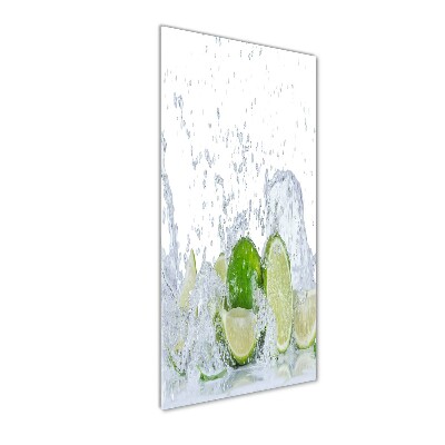 Cuadro de metacrilato moderno efecto cristal vertical Limas