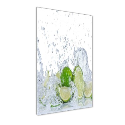 Cuadro de metacrilato moderno efecto cristal vertical Limas