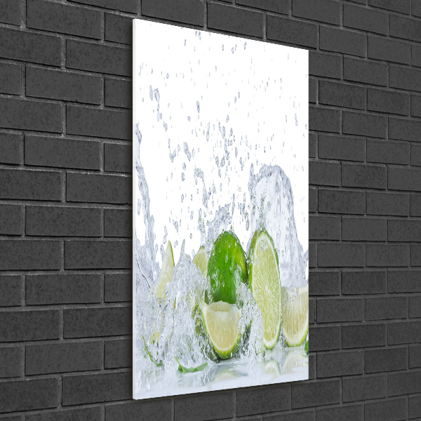 Cuadro de metacrilato moderno efecto cristal vertical Limas