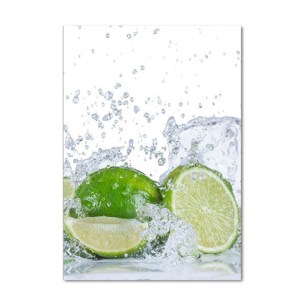 Cuadro de metacrilato moderno efecto cristal vertical Limas