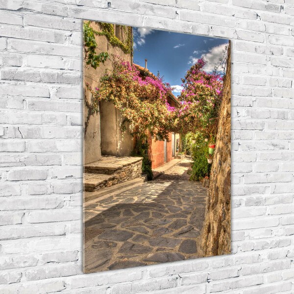 Cuadro de metacrilato vertical calles francesas