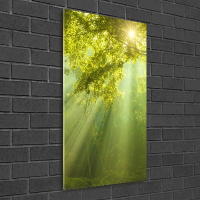 Cuadro decorativo en acrílico brillante vertical El sol en el bosque