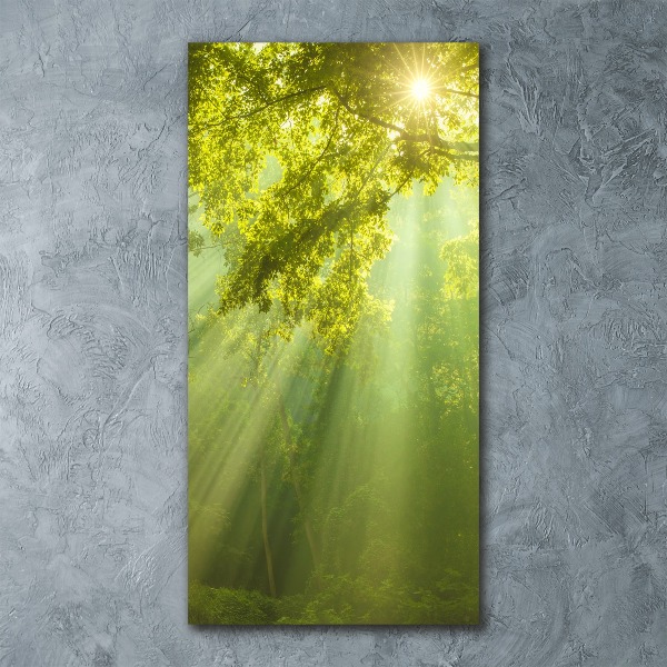 Cuadro decorativo en acrílico brillante vertical El sol en el bosque