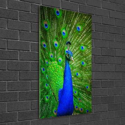 Cuadro decorativo en acrílico brillante vertical Pavo real