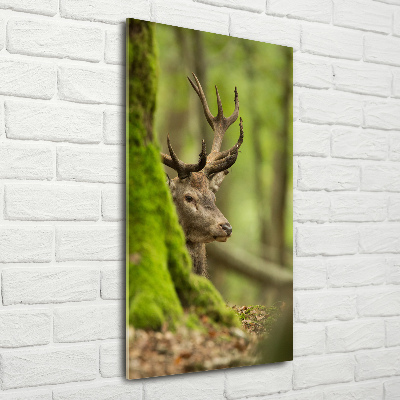 Cuadro de metacrilato vertical Ciervo