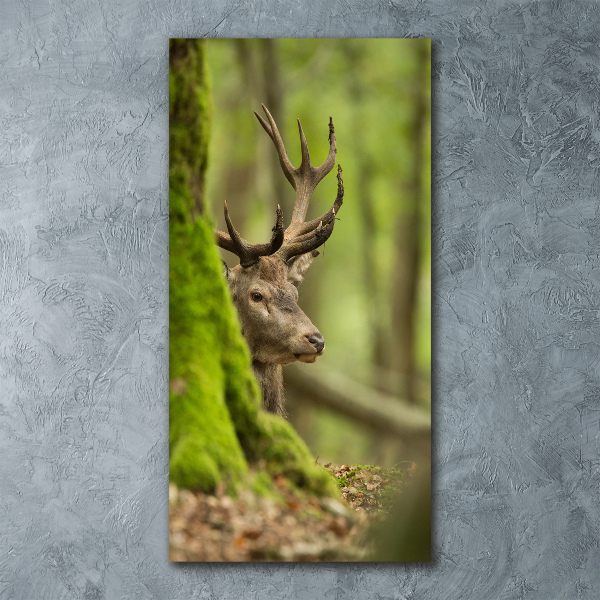 Cuadro de metacrilato vertical Ciervo
