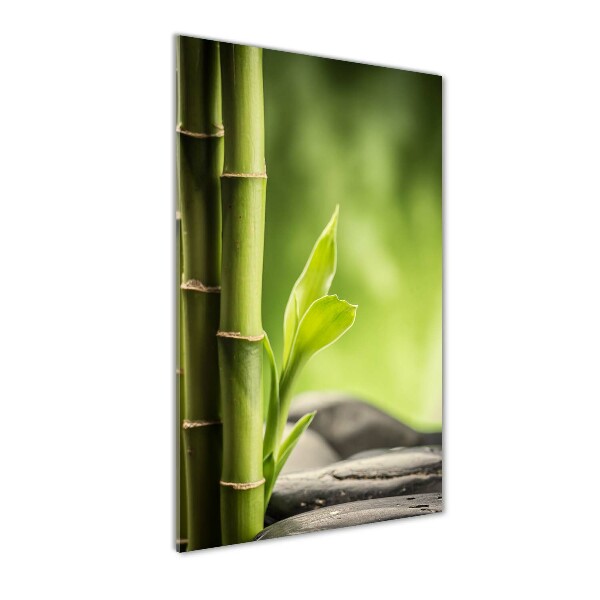 Cuadro decorativo en acrílico brillante vertical Bambú