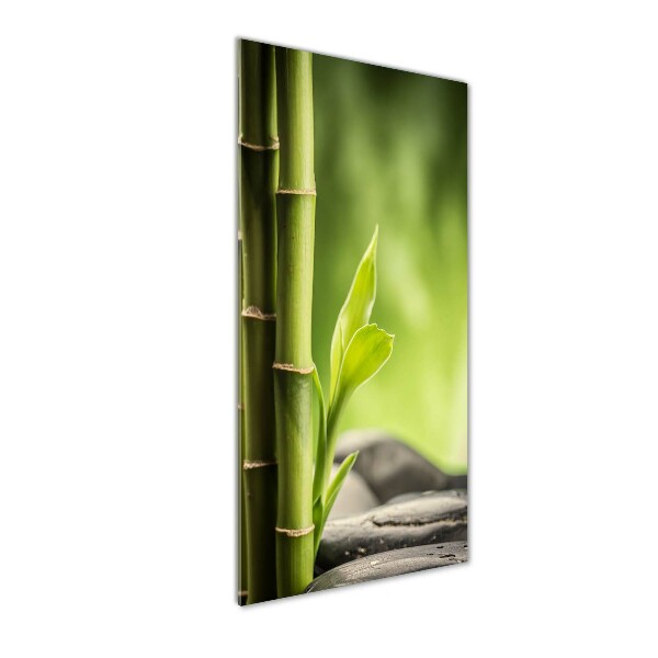 Cuadro decorativo en acrílico brillante vertical Bambú