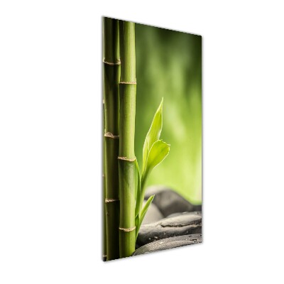 Cuadro decorativo en acrílico brillante vertical Bambú