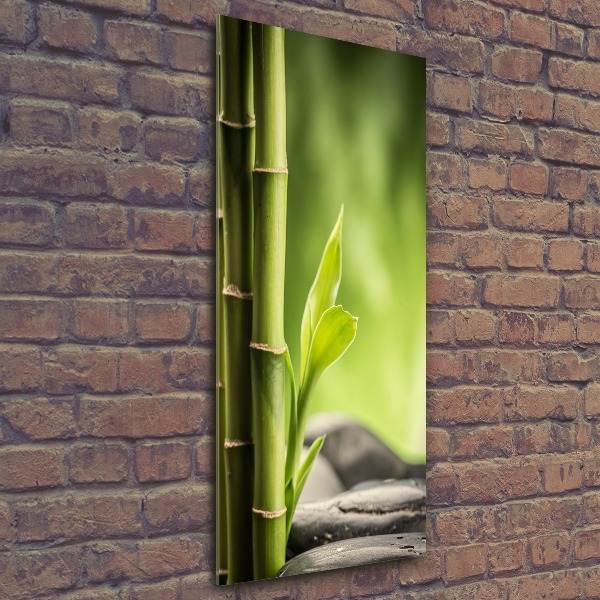 Cuadro decorativo en acrílico brillante vertical Bambú
