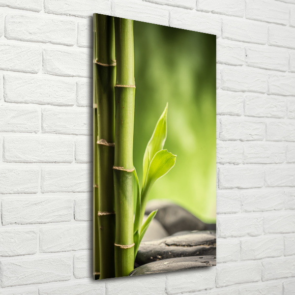 Cuadro decorativo en acrílico brillante vertical Bambú