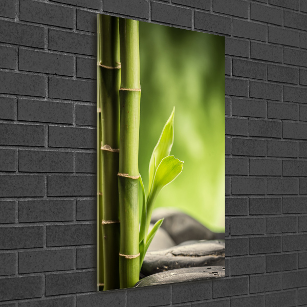 Cuadro decorativo en acrílico brillante vertical Bambú