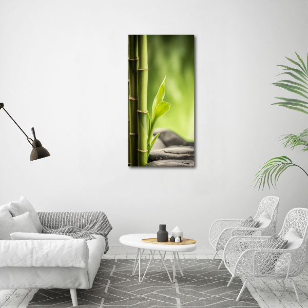 Cuadro decorativo en acrílico brillante vertical Bambú