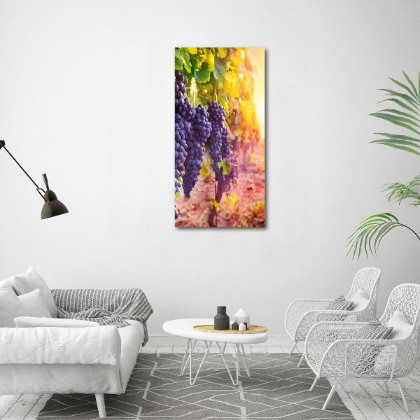 Cuadro de metacrilato moderno efecto cristal vertical Viñedo