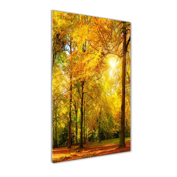 Cuadro decorativo en acrílico brillante vertical Bosque en otoño
