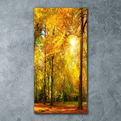 Cuadro decorativo en acrílico brillante vertical Bosque en otoño