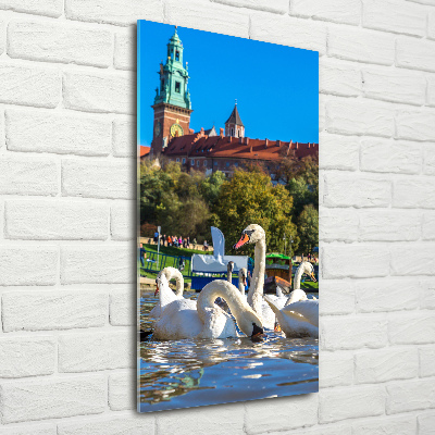 Cuadro decorativo en acrílico brillante vertical Cracovia, Polonia