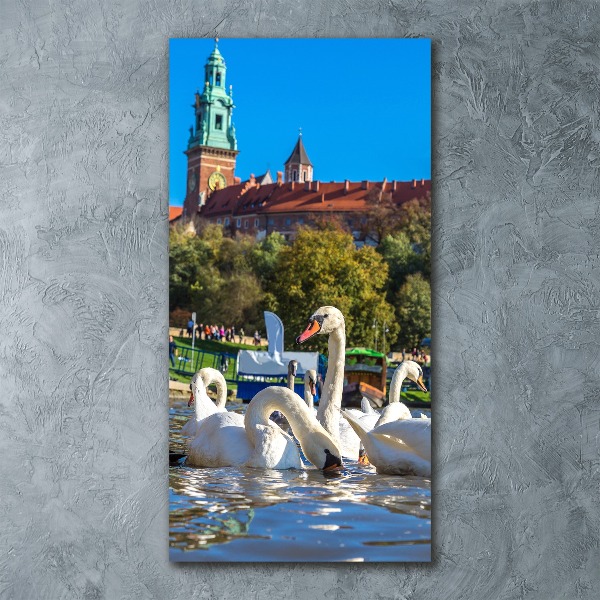 Cuadro decorativo en acrílico brillante vertical Cracovia, Polonia
