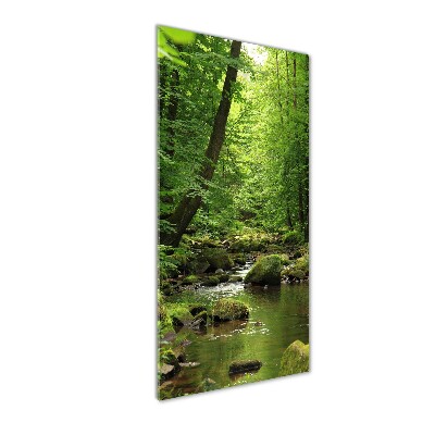 Cuadro decorativo en acrílico brillante vertical Río en el bosque