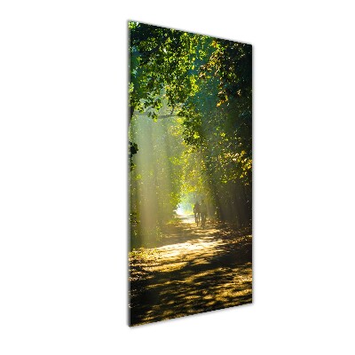 Cuadro de metacrilato moderno efecto cristal vertical Camino en el bosque