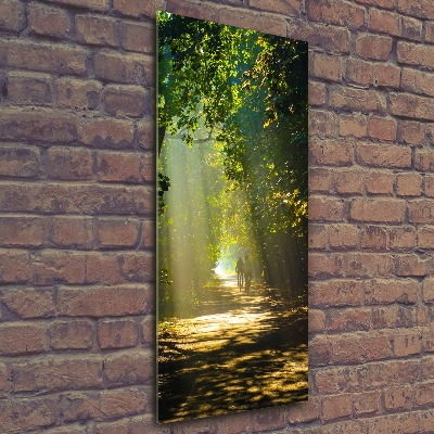 Cuadro de metacrilato moderno efecto cristal vertical Camino en el bosque