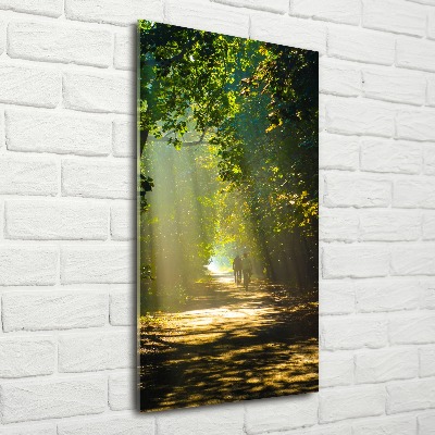 Cuadro de metacrilato moderno efecto cristal vertical Camino en el bosque