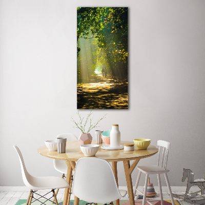 Cuadro de metacrilato moderno efecto cristal vertical Camino en el bosque