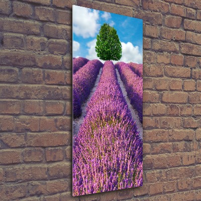 Cuadro decorativo en acrílico brillante vertical campo de lavanda