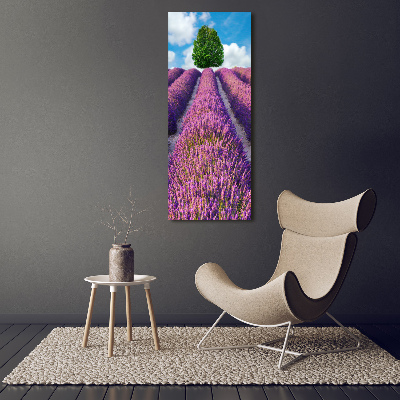 Cuadro decorativo en acrílico brillante vertical campo de lavanda