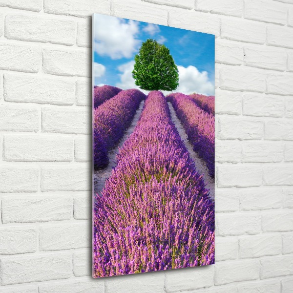 Cuadro decorativo en acrílico brillante vertical campo de lavanda
