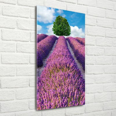 Cuadro decorativo en acrílico brillante vertical campo de lavanda