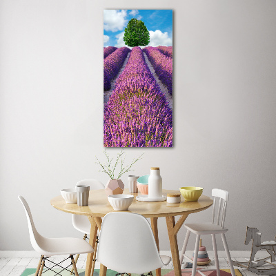 Cuadro decorativo en acrílico brillante vertical campo de lavanda