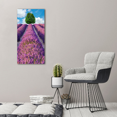Cuadro decorativo en acrílico brillante vertical campo de lavanda