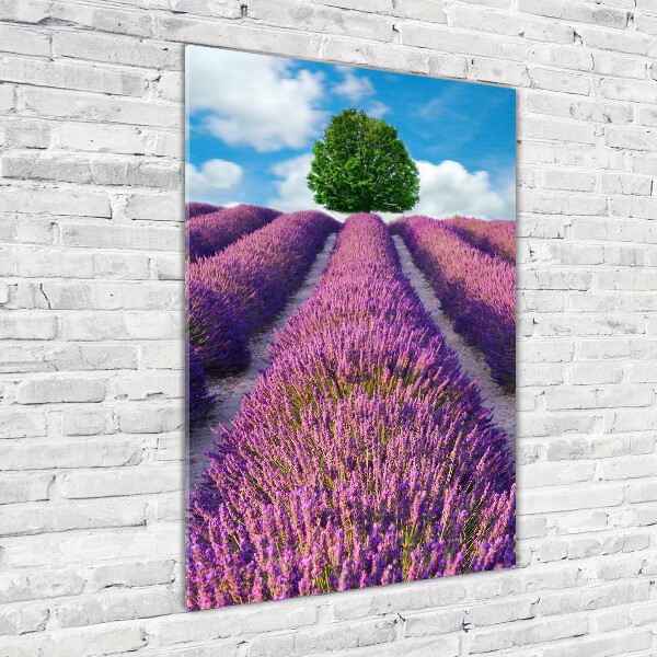Cuadro decorativo en acrílico brillante vertical campo de lavanda